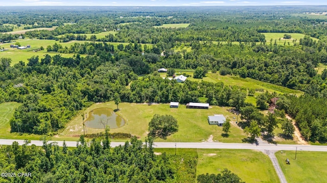 3483 Kynesville Rd, Marianna, FL 32448 - drone / aerial view of a forest and a large body of water