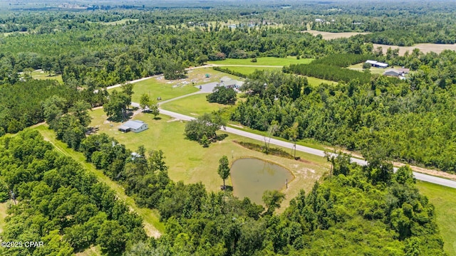 3483 Kynesville Rd, Marianna, FL 32448 - drone / aerial view of a forest and a nearby body of water