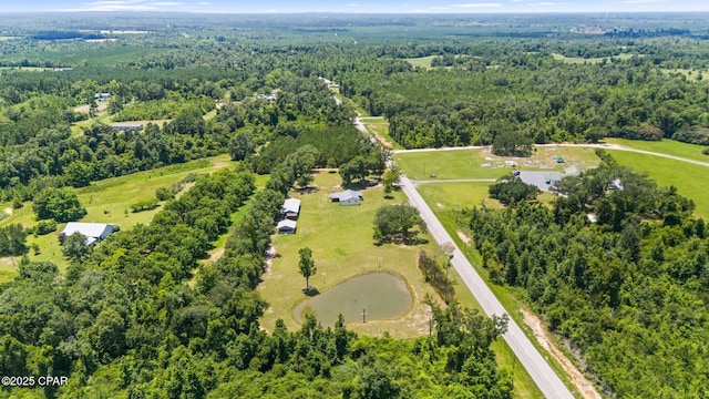 3483 Kynesville Rd, Marianna, FL 32448 - aerial view of a forest