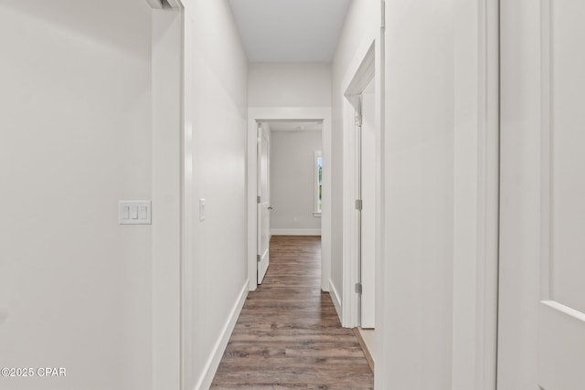 902 Captain Way, Panama City, FL 32404 - hallway with wood finished floors and baseboards