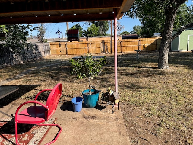 view of yard with a shed