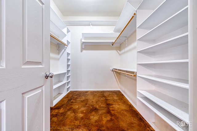 view of walk in closet
