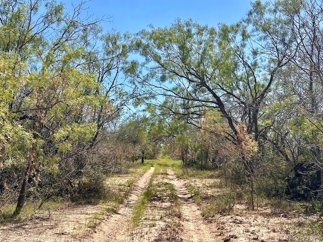 11980 W Grape Creek Rd Unit 10, San Angelo TX, 76901 land for sale