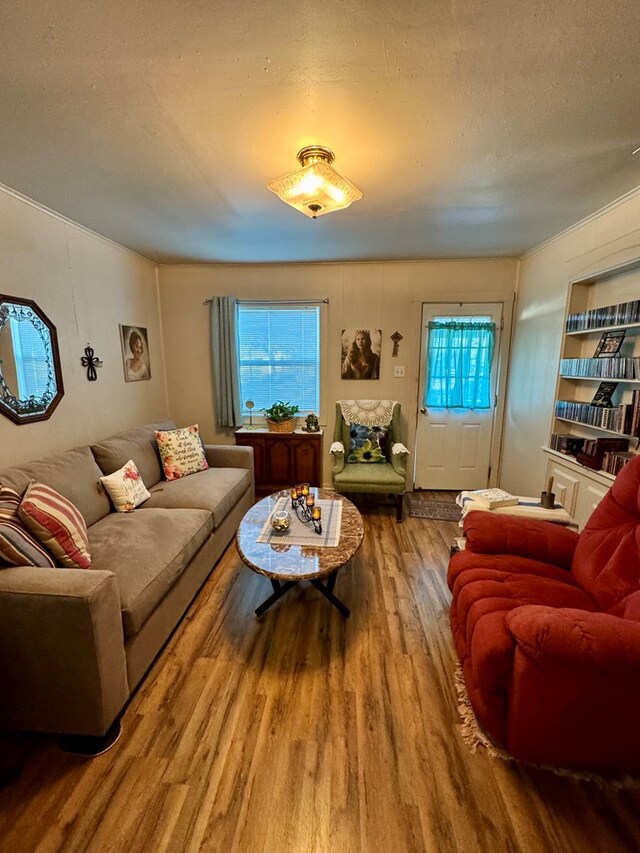 living room featuring hardwood / wood-style flooring and a textured ceiling