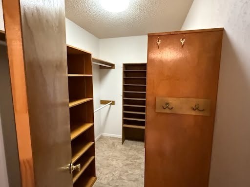 spacious closet featuring light colored carpet