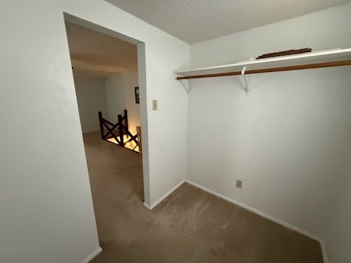 spacious closet featuring carpet flooring