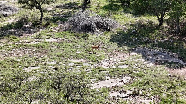 7365 County Rd 209, Sonora, TX 76950 - photo 4