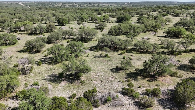 7365 County Rd 209, Sonora, TX 76950 - photo 9