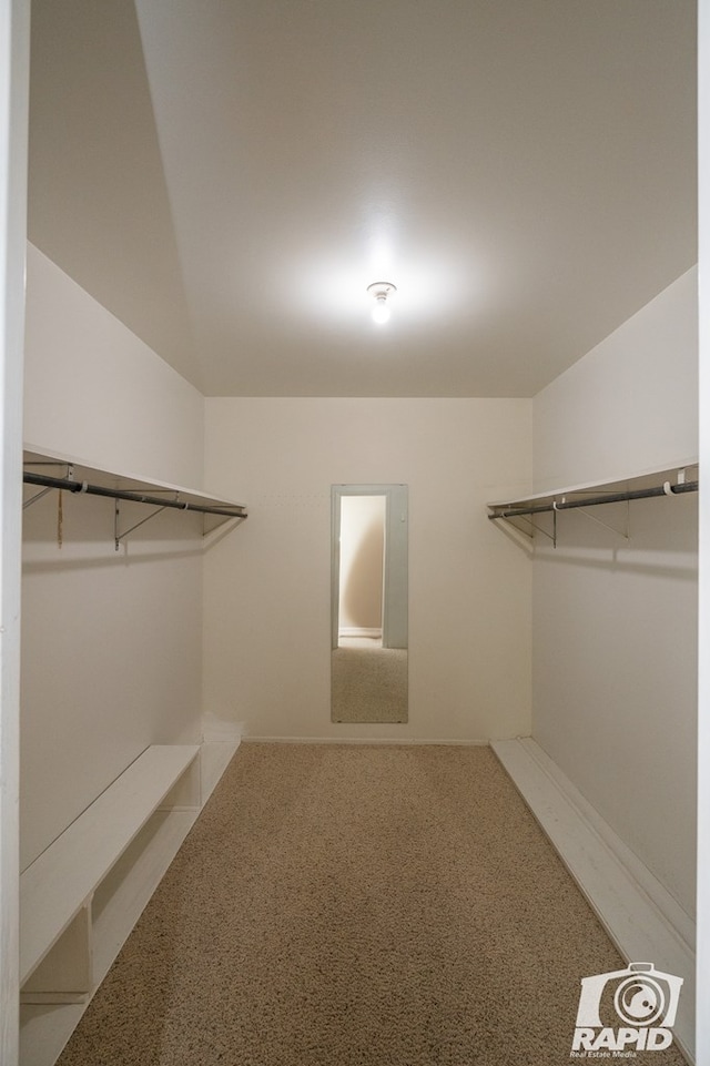 spacious closet featuring lofted ceiling and carpet floors