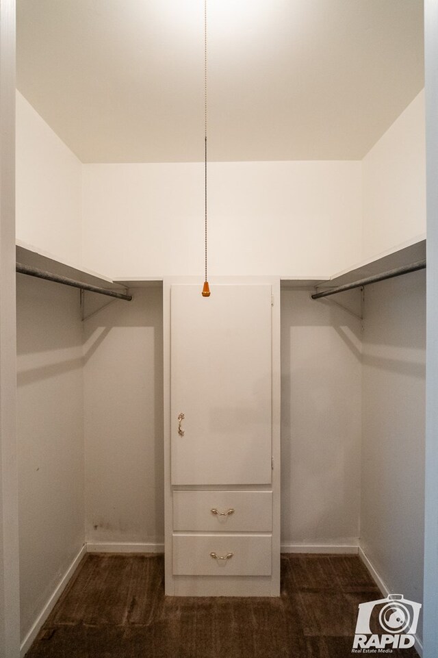 walk in closet with dark carpet