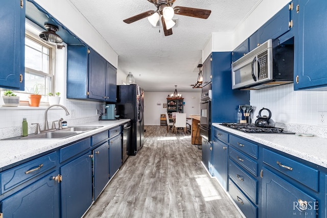 kitchen featuring blue cabinetry, sink, light hardwood / wood-style flooring, and black appliances