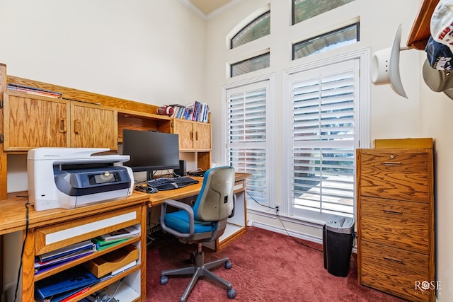 home office featuring carpet flooring and crown molding