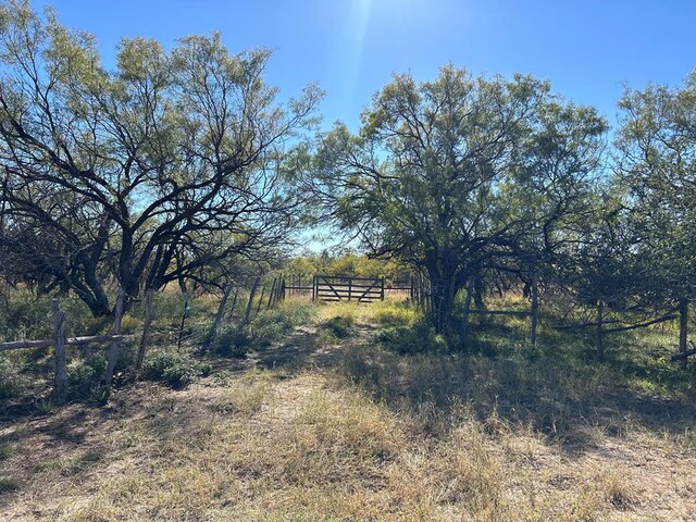 11893 Twin Lakes Ln, San Angelo TX, 76904 land for sale