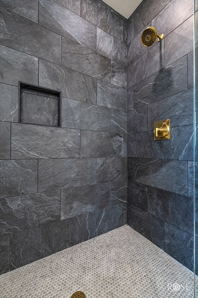 9401 Collett Rd, Robert Lee, TX 76945 - bathroom featuring a tile shower