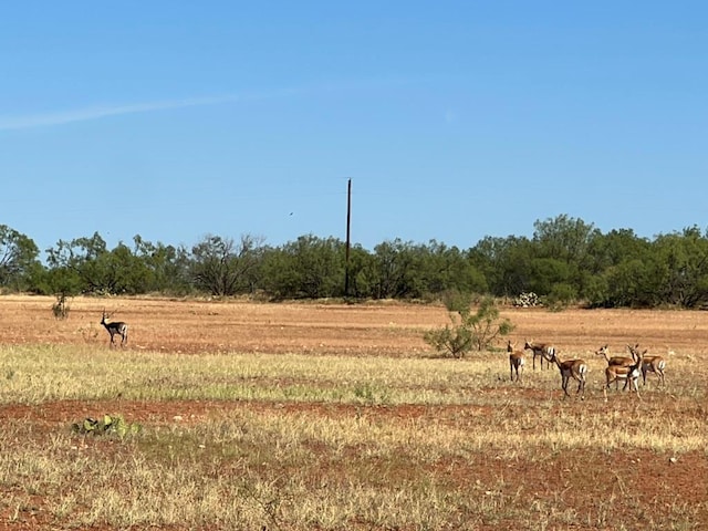 9401 Collett Rd, Robert Lee, TX 76945 - view of undeveloped land featuring rural landscape