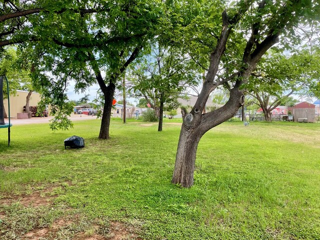 201 N Franklin St, Bronte, TX 76933 - view of grassy yard featuring a trampoline