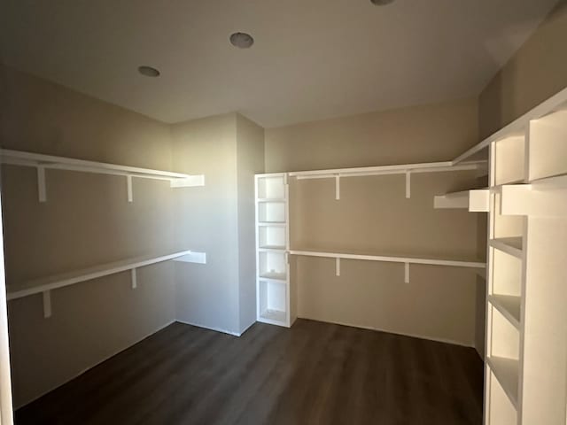 spacious closet featuring dark wood-style flooring