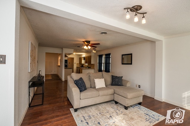 1016 N Adams Ave, San Angelo, TX 76901 - living room with crown molding, a textured ceiling, and dark wood finished floors