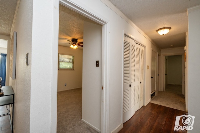 hallway with ornamental molding, a textured ceiling, and dark wood-style floors