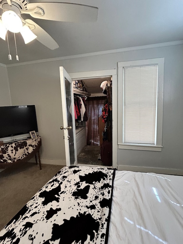 15E 24th St, San Angelo, TX 76903 - bedroom featuring ornamental molding, a closet, ceiling fan, and carpet flooring