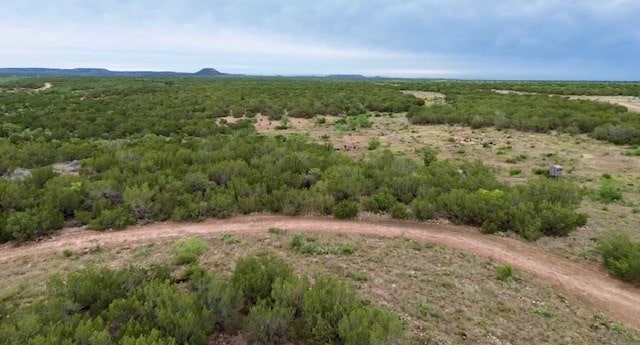 583 Cox Rd, Robert Lee, TX 76945