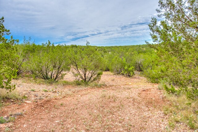 583 Cox Rd, Robert Lee, TX 76945
