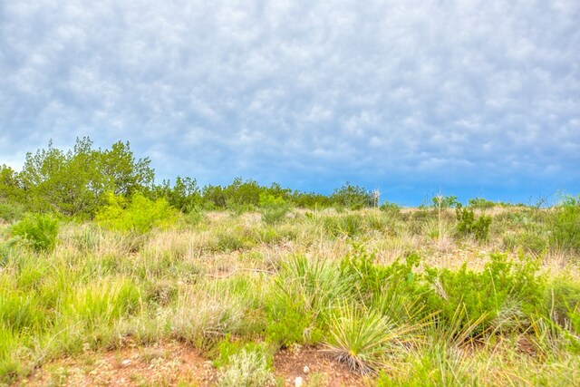 583 Cox Rd, Robert Lee, TX 76945