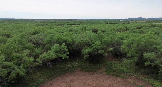583 Cox Rd, Robert Lee, TX 76945