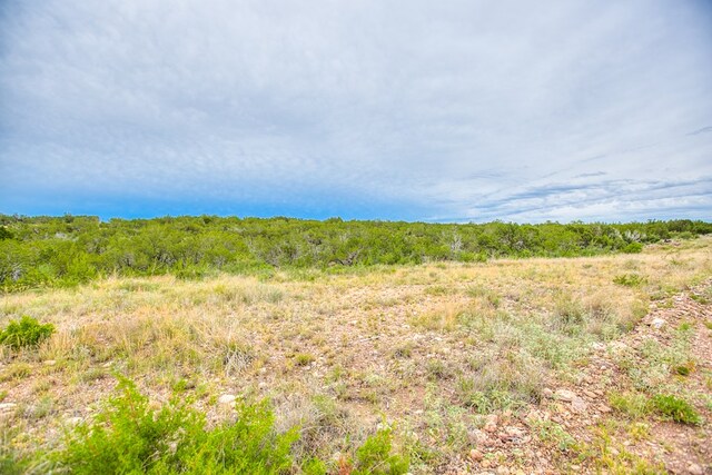 583 Cox Rd, Robert Lee, TX 76945