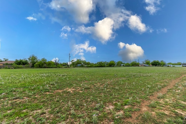 view of local wilderness with a rural view