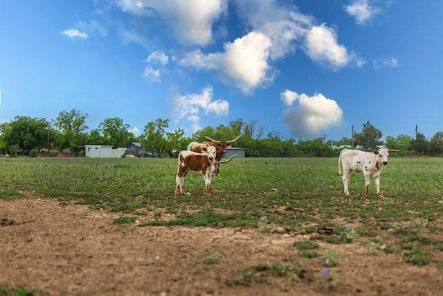 view of yard featuring a rural view