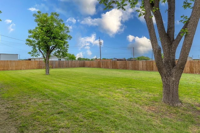 view of yard with a fenced backyard