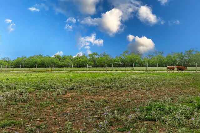 view of yard featuring a rural view