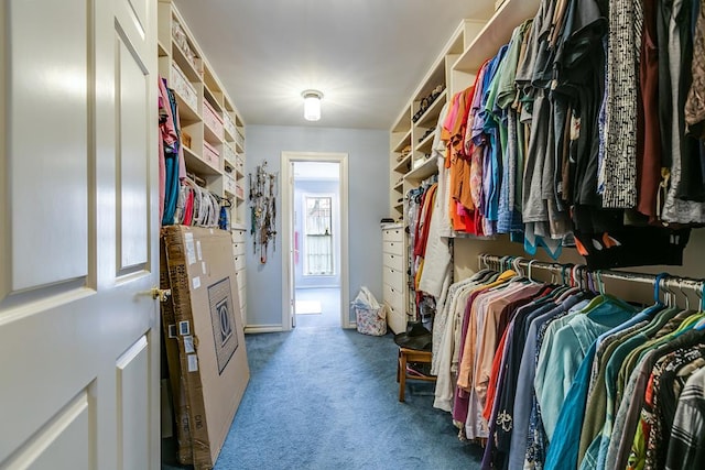 walk in closet with carpet flooring