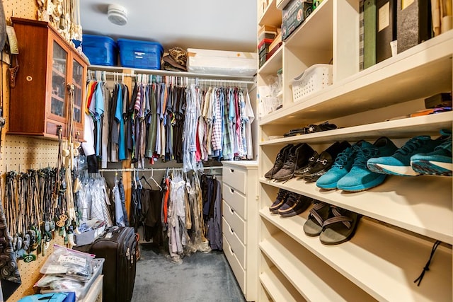 view of spacious closet