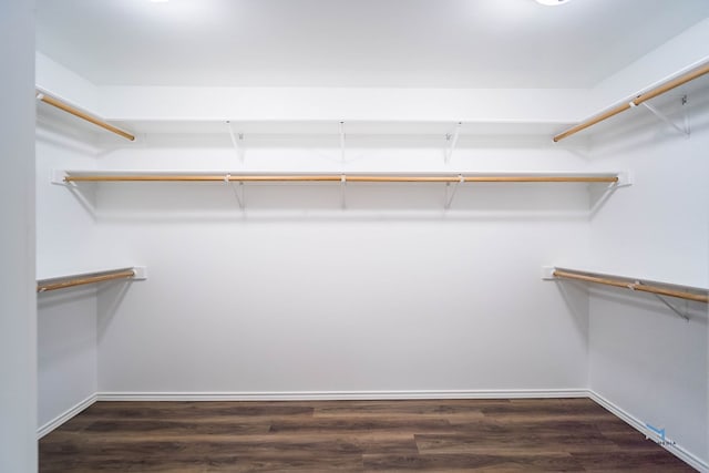 walk in closet with dark wood-type flooring