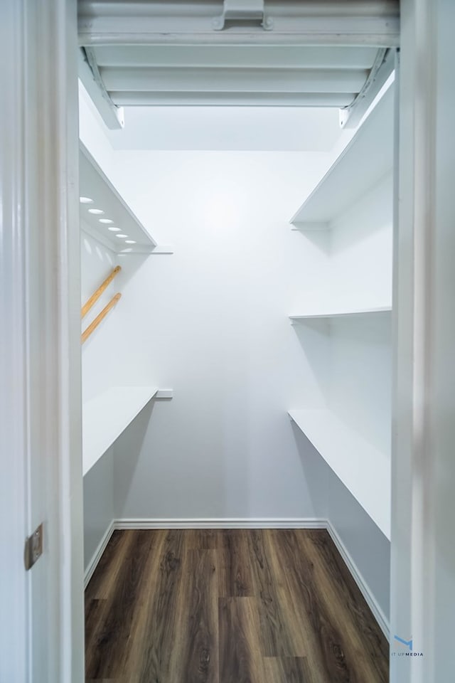 spacious closet featuring hardwood / wood-style flooring