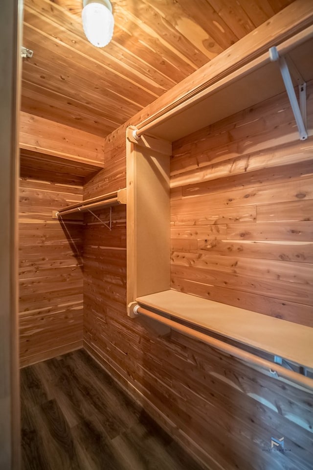 walk in closet featuring wood-type flooring