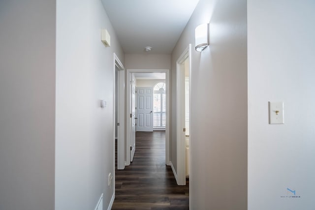 corridor with dark wood-type flooring