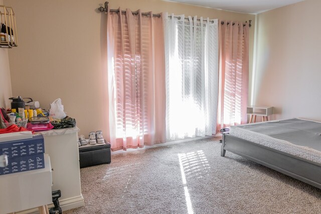 carpeted bedroom with multiple windows