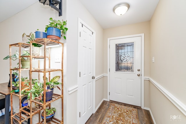 entryway with dark wood-type flooring