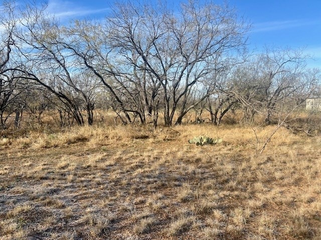 Listing photo 3 for 00 Grape Creek Rd, San Angelo TX 76901