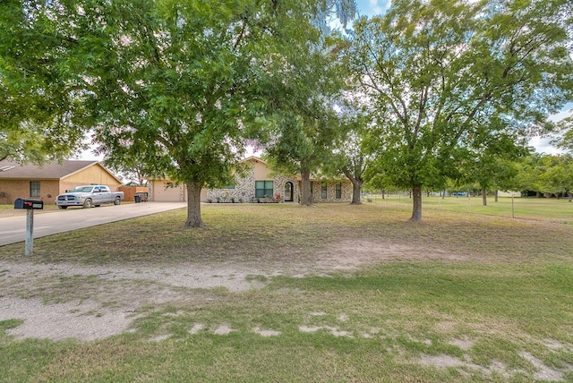 obstructed view of property with concrete driveway, a front yard, and a garage