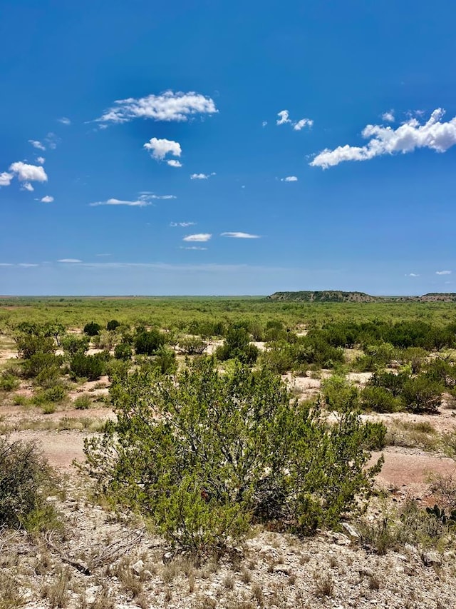 TBD Juniper Road, Bronte TX, 76933 land for sale