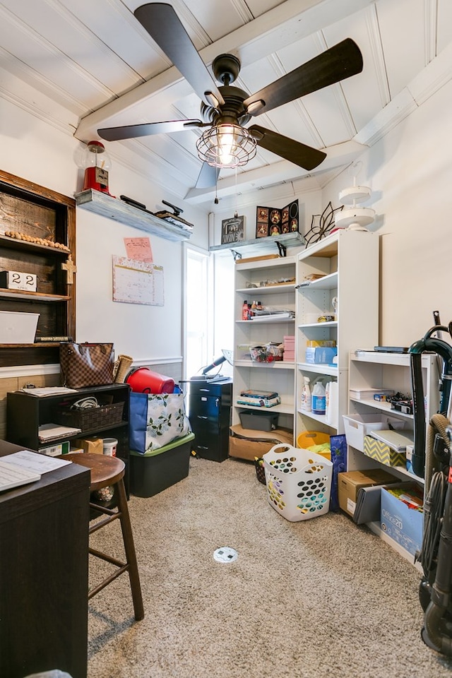 storage room featuring a ceiling fan