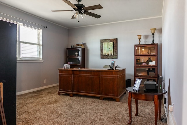 carpeted office featuring crown molding and ceiling fan