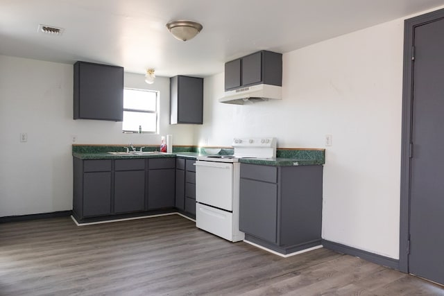 kitchen featuring dark hardwood / wood-style flooring, sink, gray cabinetry, and white range with electric stovetop