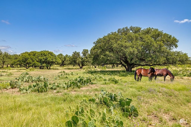 6873 Green Oaks Dr, Christoval, TX 76935 - photo 53