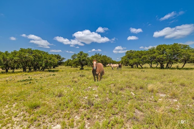6873 Green Oaks Dr, Christoval, TX 76935 - photo 52