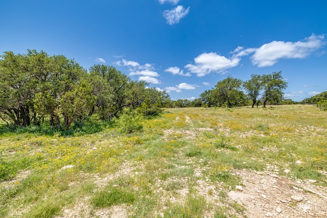 6873 Green Oaks Dr, Christoval, TX 76935 - photo 49